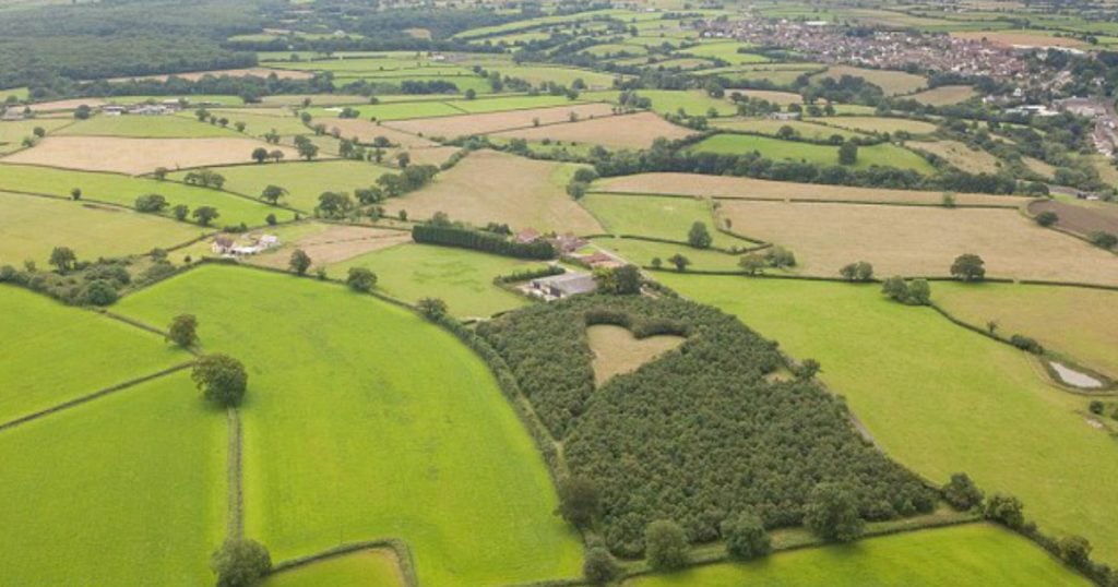 godupdates grieving farmer creates heart-shaped meadow to honor late wife 2