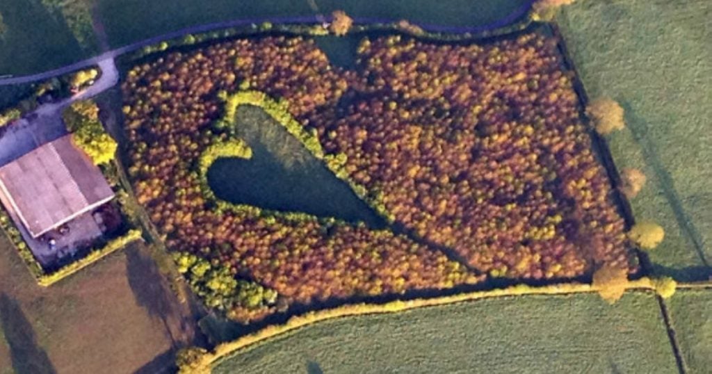 godupdates grieving farmer creates heart-shaped meadow to honor late wife 3