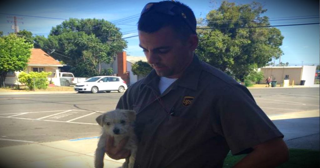 godupdates heroic ups driver saves puppy fb