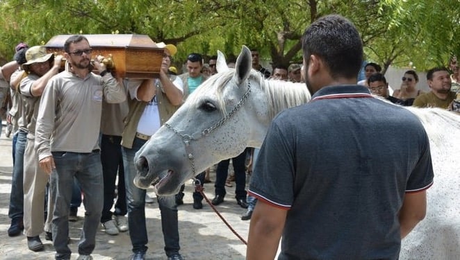 godupdates horse grieving his owner's death at funeral 2