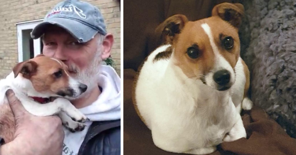 lost dog rescue alan whitton