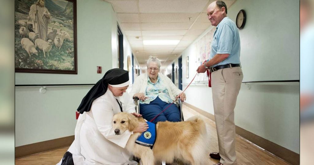 godupdates miracle dog overcomes years of therapy to give therapy to others 1