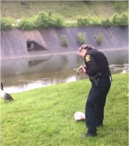 godupdates mother goose leads police to trapped baby 2