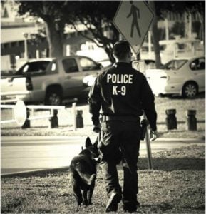 godupdates police officer's goodbye letter to fallen k-9 partner 3