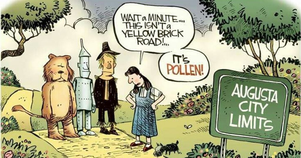 Pollen In The Air Phil Collins Parody Holderness Family