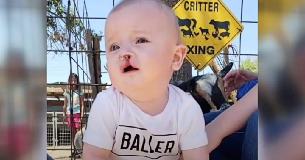 puppy with a cleft lip bentley boyers