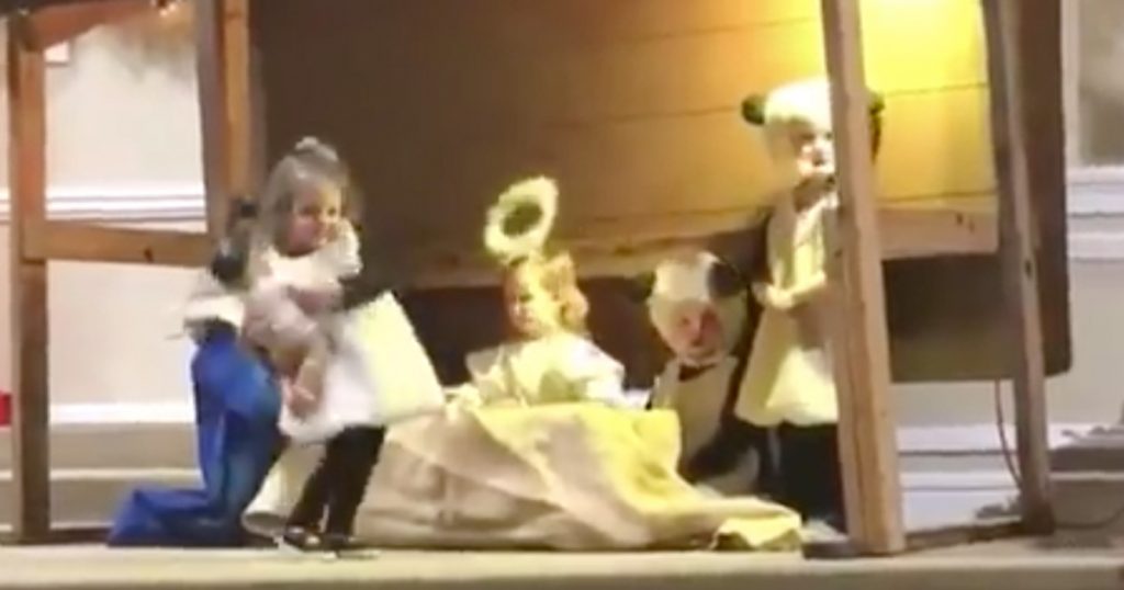 Sheep Takes Baby Jesus During Children's Nativity