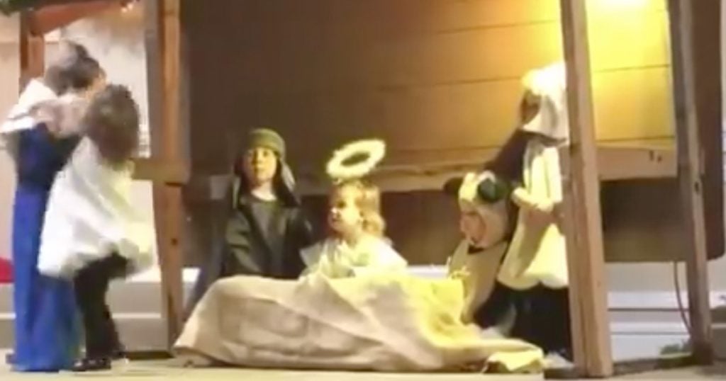 Sheep Takes Baby Jesus During Children's Nativity