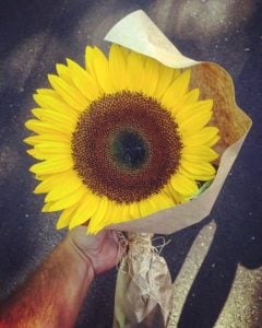 godupdates sunflower for stranger becomes sign from dead fiance 2