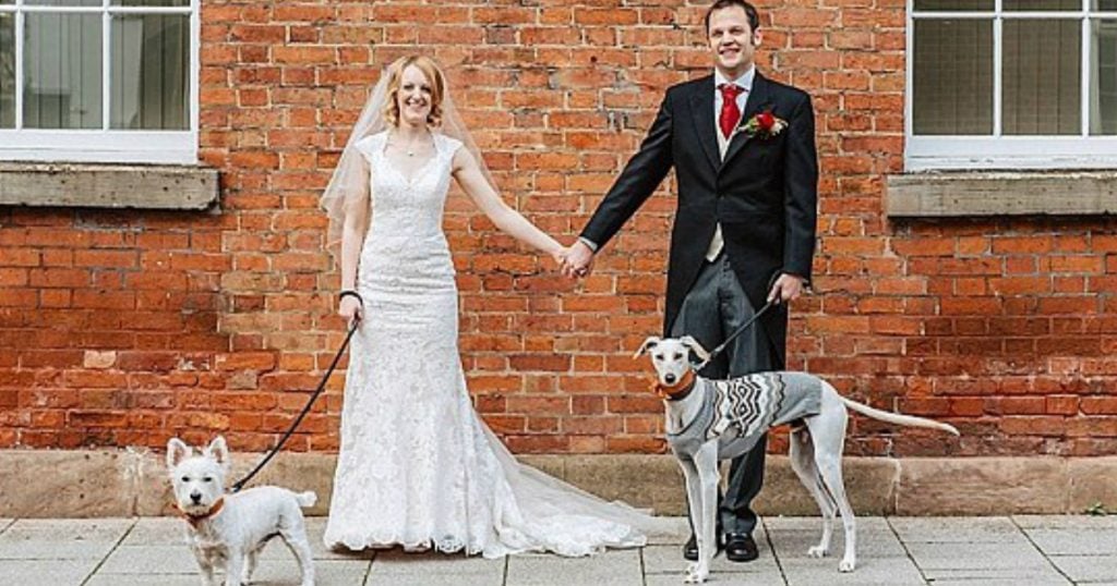 godupdates thinnest dog walks woman who rescued him down aisle 1