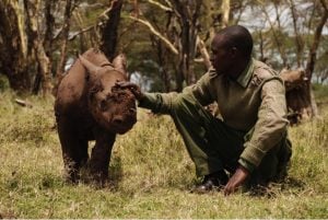 godupdates tiva and lola little girl gets rhino instead of puppy 2