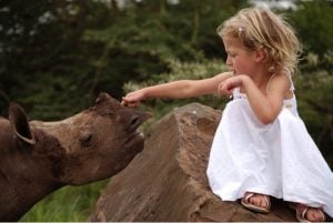 godupdates tiva and lola little girl gets rhino instead of puppy 3