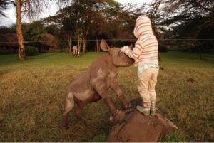 godupdates-tiva-and-lola-little-girl-gets-rhino-instead-of-puppy-8