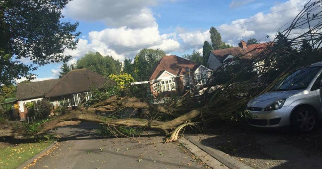 godupdates woman credits guardian angel after tree came crashing down on car fb