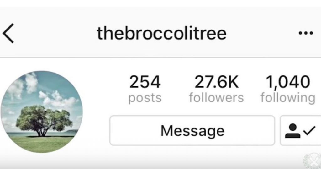 godupdates the broccoli tree