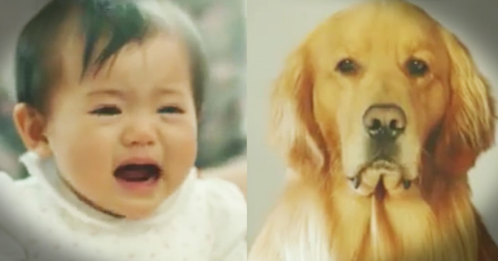 sad dog look like lion for baby amazon ad GodUpdates