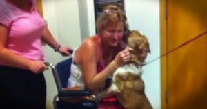 jd-godvine-dog reunited with owner after 65 days in desert-FB