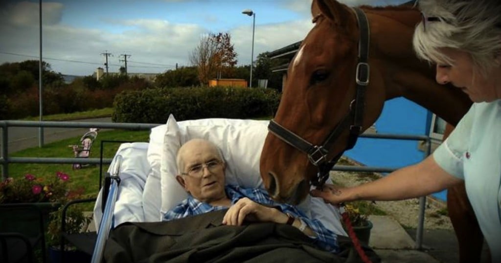 mj-godupdates-dying-man-surprised-with-goodbye-from-beloved-horse-fb