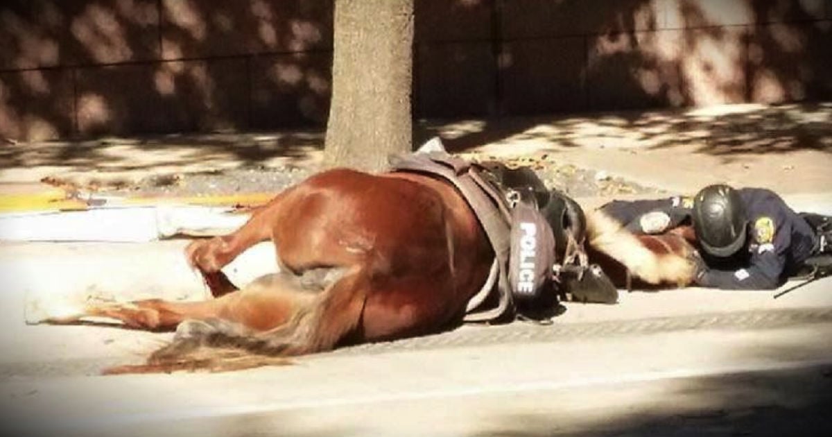 mj-godupdates-officer-lies-in-street-with-dying-patrol-horse-fb