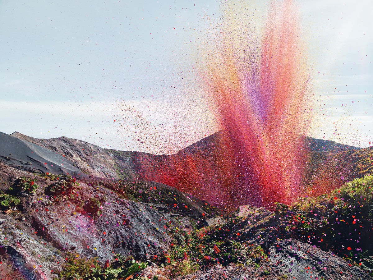 Volcano of flower petals erupts.