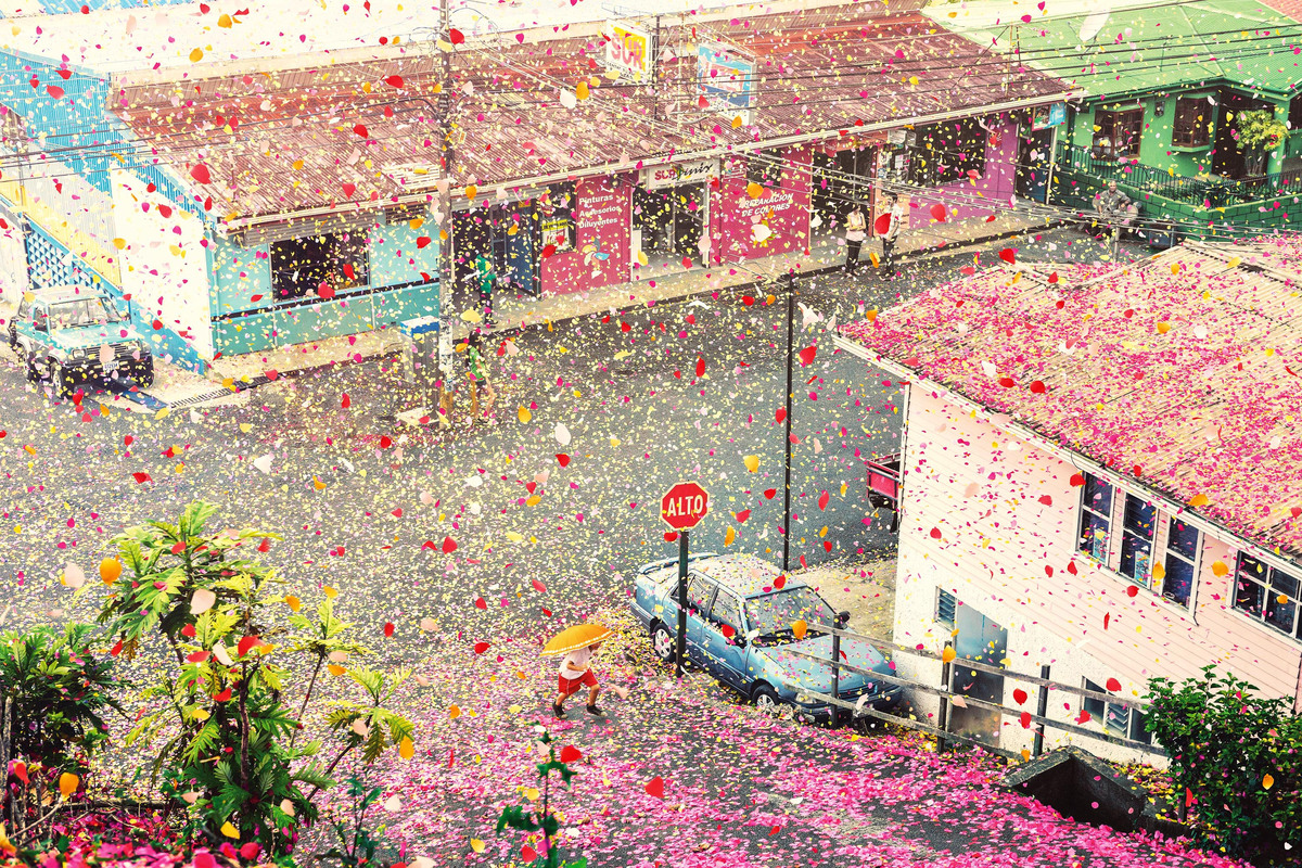 Flower petals cover the local town. 