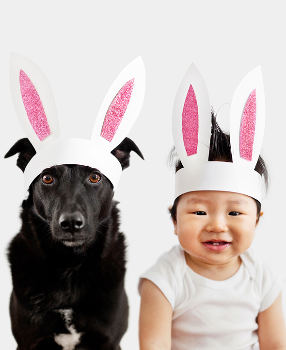 Or should we say,  “Zoey and Jasper are study bunnies”?