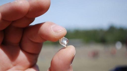 Jellybean sized diamond found at Crater of Diamonds State Park.