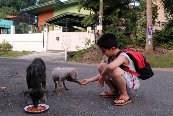 Dog Shows Gratitude to Boy Who Cared 