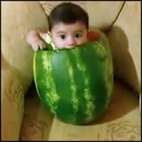 Sweet Baby Eats A Watermelon In The Funniest Way From The Inside