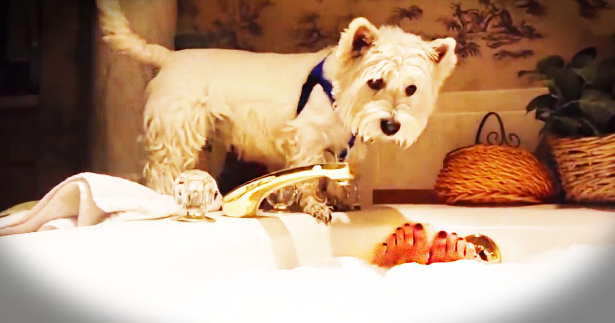 It Started With A Human In A Tub. But It Ended With A Grin On My Face