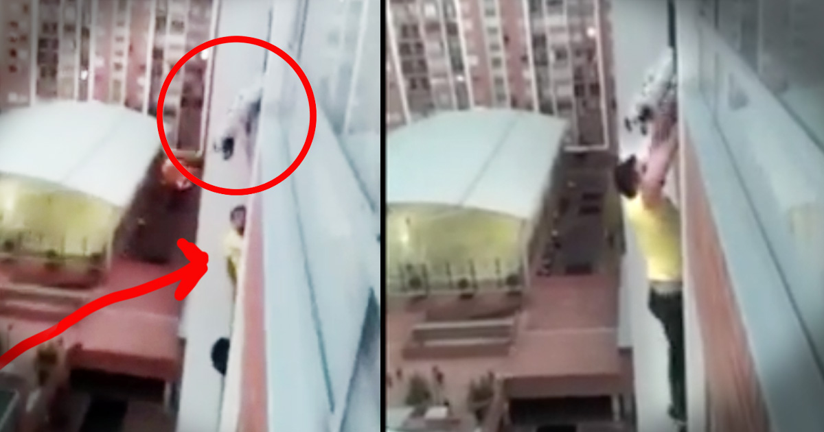 When He Saw A Dog Dangling 13 Stories Above The Ground He Started To Climb This Rescue Jaw Dropping