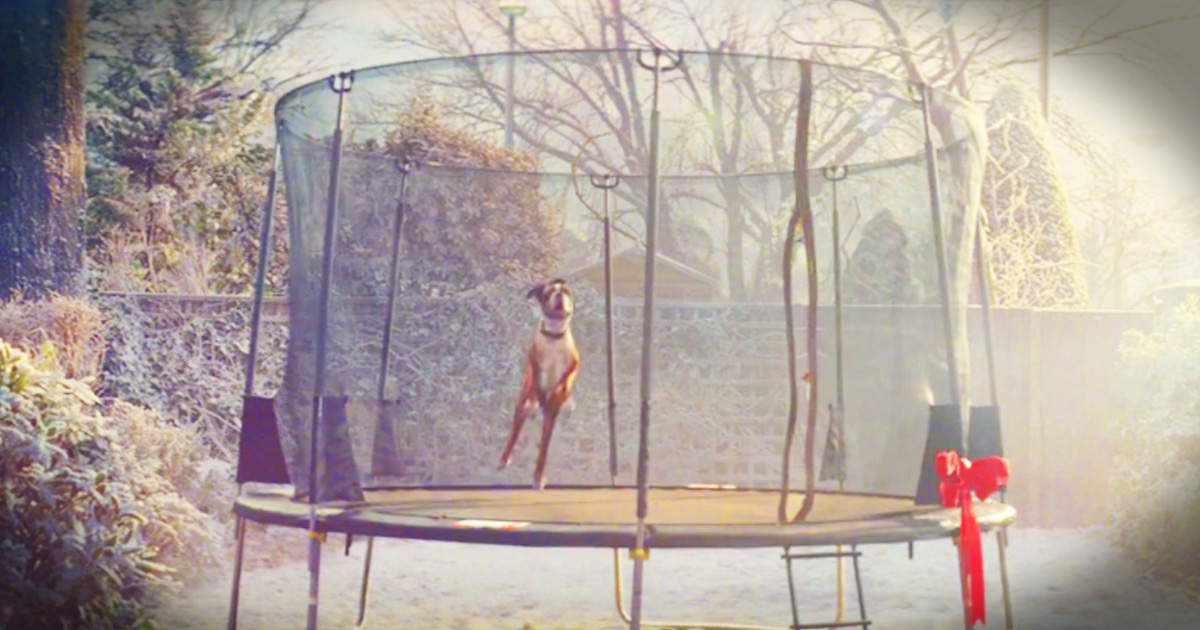 John Lewis' Newest Christmas Ad Is Going Viral For All The Right Reasons