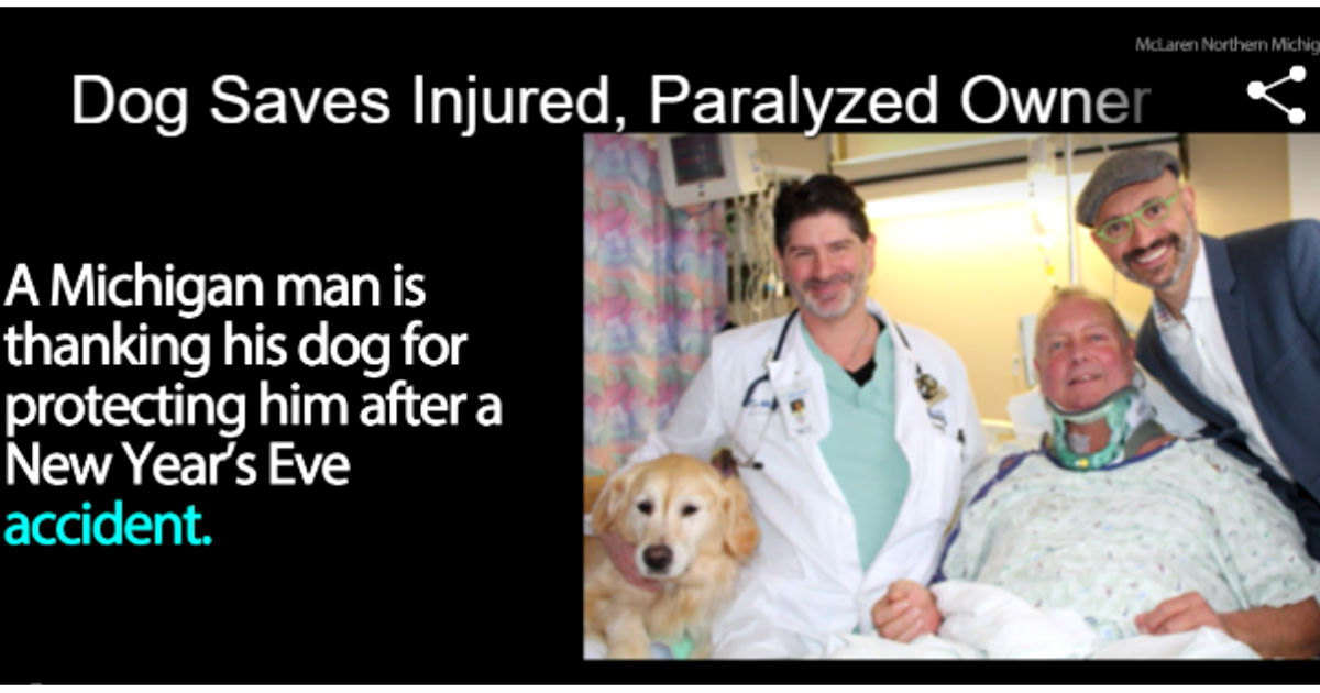 Dog Saves His Owner After Owner Falls In The Snow And Breaks His Neck(02)