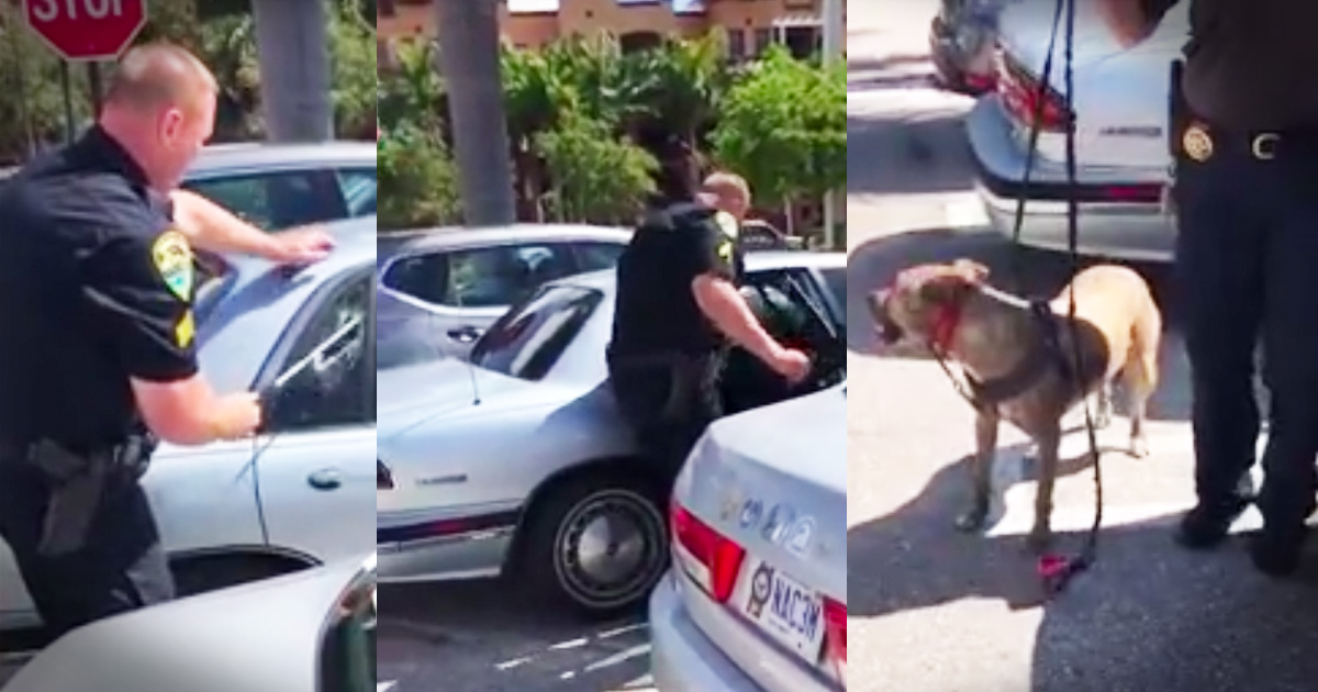 Watch As This Heroic Officer Saves A Dog Trapped In A Hot Car