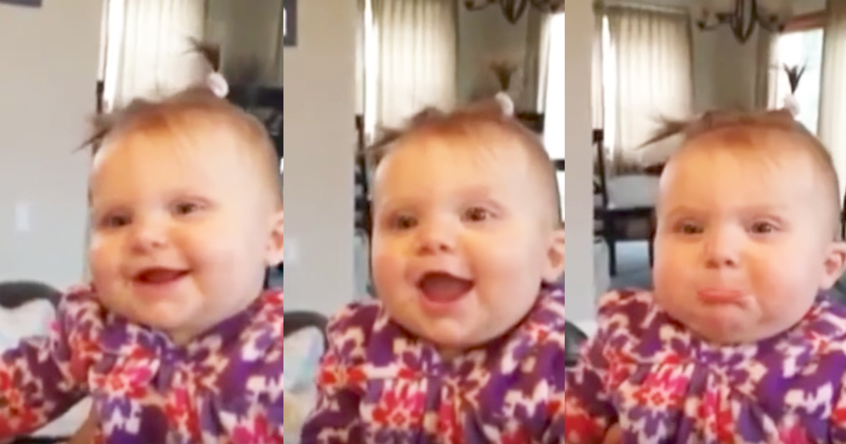 laughing baby vine