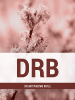 Douay Rheims Bible