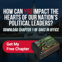 Oaks In Office | Free Chapter Download