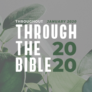 Through The Bible In 2020