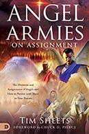 Your Angels on Assignment & Chariots of Fire (Book & 3-CD/Audio Series)