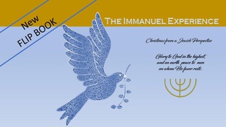 Free FlipBook “The Immanuel Experience”