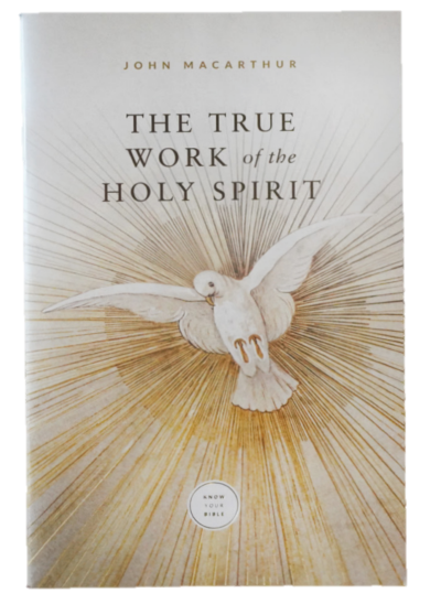 The True Work of the Holy Spirit