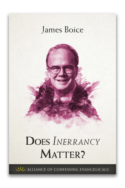 Does Inerrancy Matter? (PDF Download)