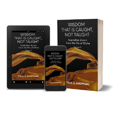 Wisdom That Is Caught Not Taught Vol.2 (book)