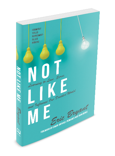 Not Like Me (On Race, Poverty, and Politics) - Free 60 Page Sample