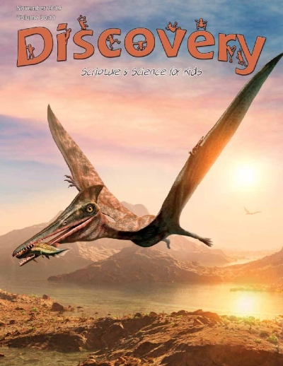 Discovery Magaine