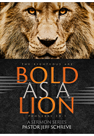 Bold as a Lion-Series