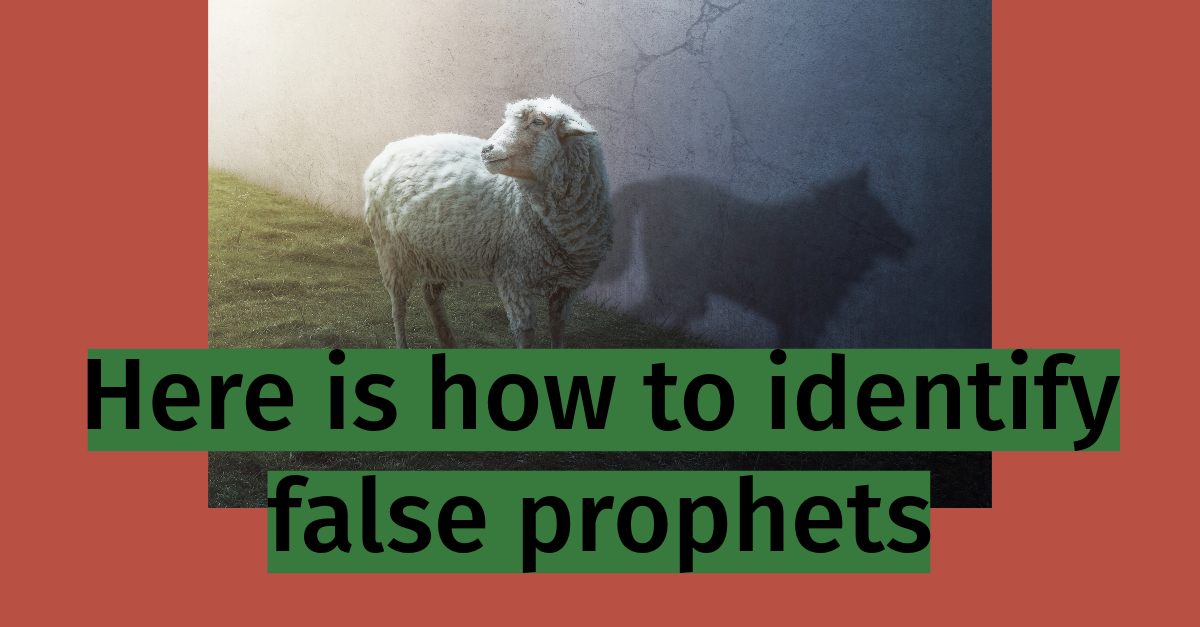 BEWARE OF FALSE PROPHETS! Listen to Save America Ministries with