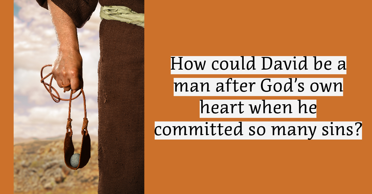 Questions & Answers 3176 Listen to Thru the Bible Questions