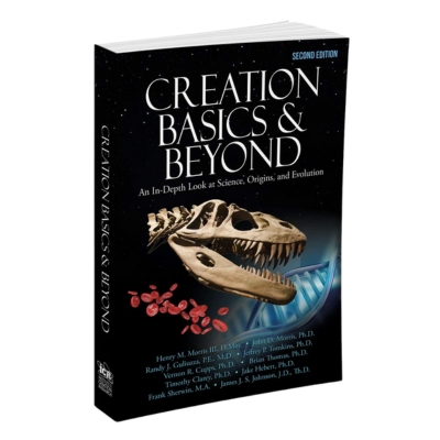 Creation Basics & Beyond 2nd Edition