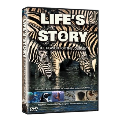 Life’s Story 2